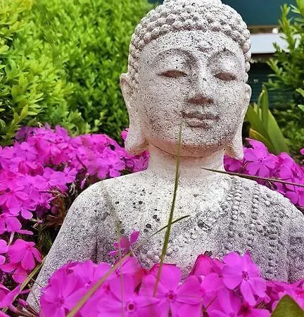 Bos En Kasteel Appartement Nideggen