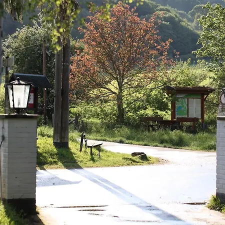 Bos En Kasteel Nideggen