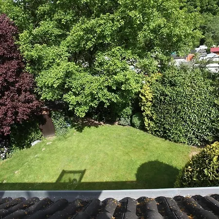 Bos En Kasteel